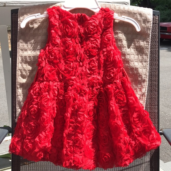 Aile Rabbit - Picture 2 of 2